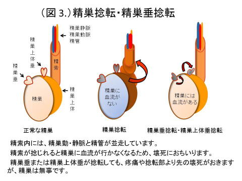 urology3